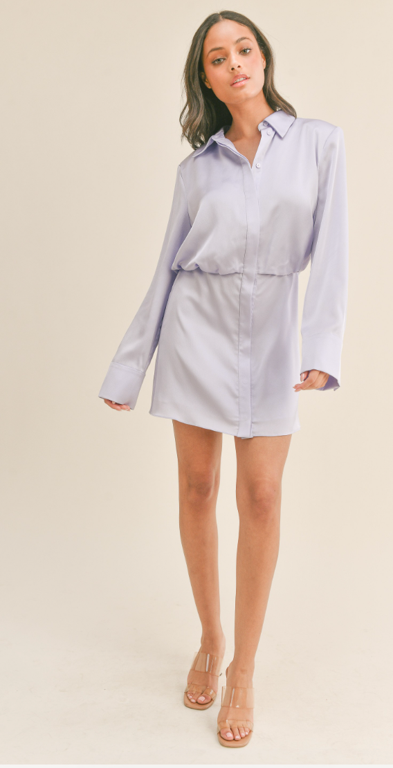 Long Sleeve Button Down Front Dress